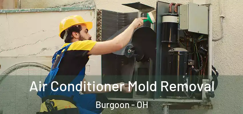 Air Conditioner Mold Removal Burgoon - OH