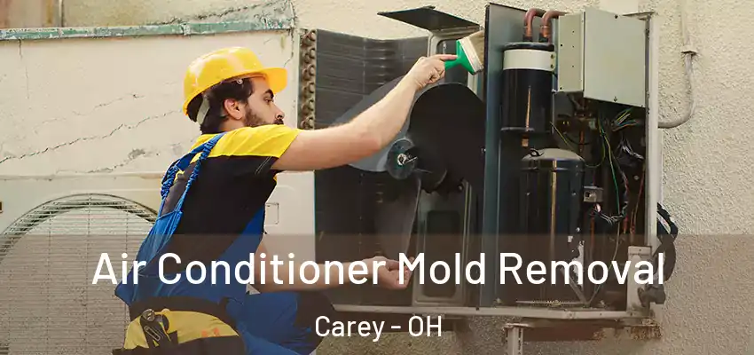  Air Conditioner Mold Removal Carey - OH