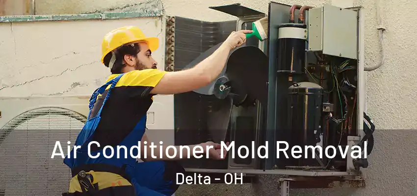  Air Conditioner Mold Removal Delta - OH