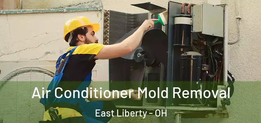  Air Conditioner Mold Removal East Liberty - OH