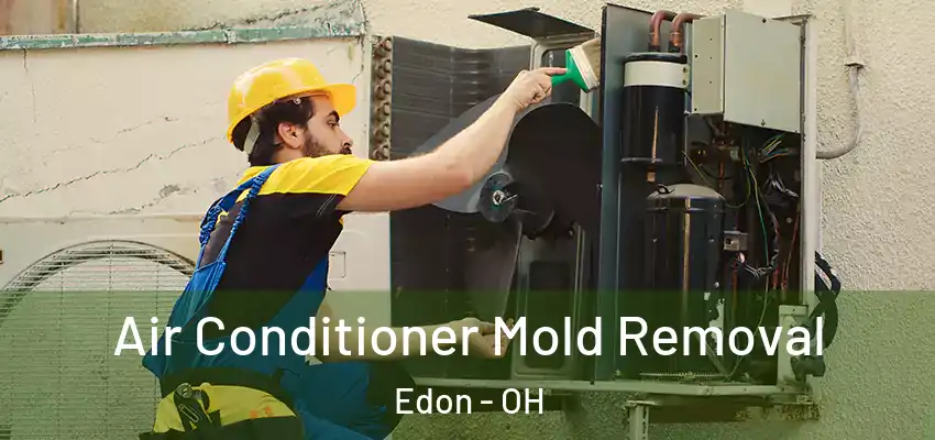  Air Conditioner Mold Removal Edon - OH
