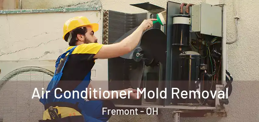  Air Conditioner Mold Removal Fremont - OH