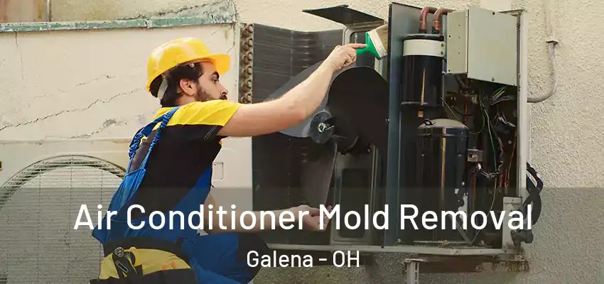  Air Conditioner Mold Removal Galena - OH