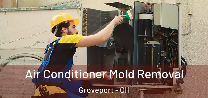  Air Conditioner Mold Removal Groveport - OH