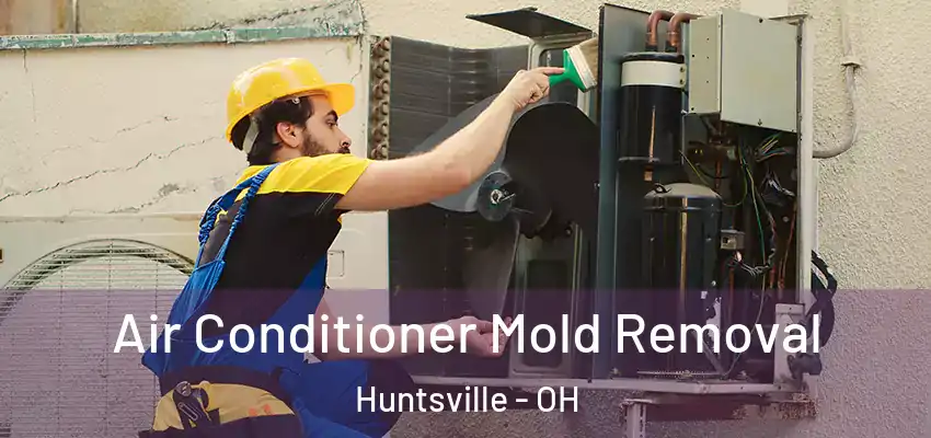  Air Conditioner Mold Removal Huntsville - OH
