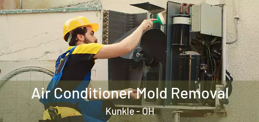  Air Conditioner Mold Removal Kunkle - OH