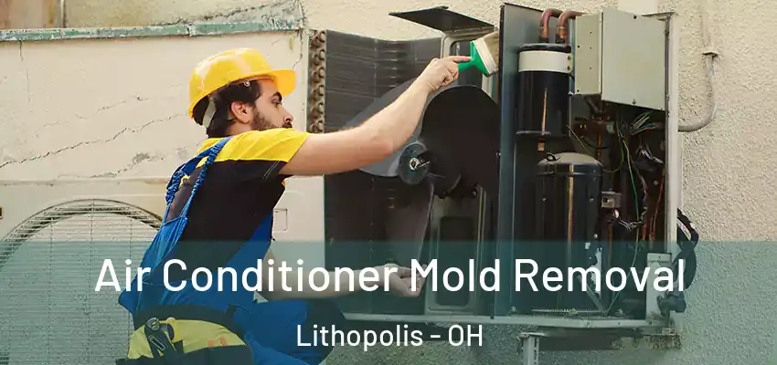 Air Conditioner Mold Removal Lithopolis - OH