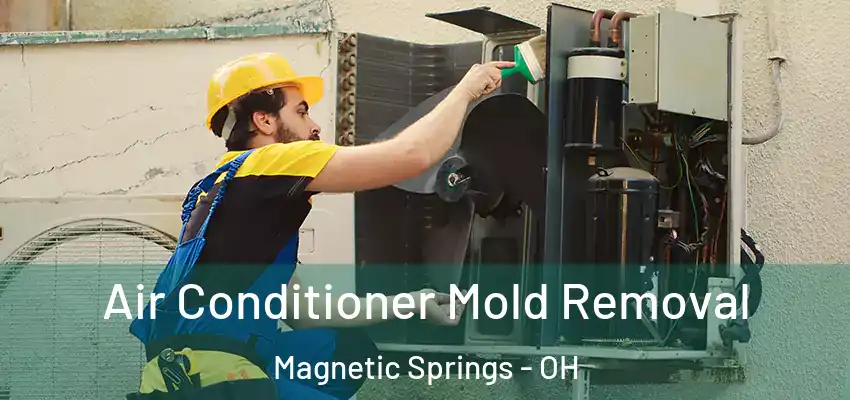  Air Conditioner Mold Removal Magnetic Springs - OH