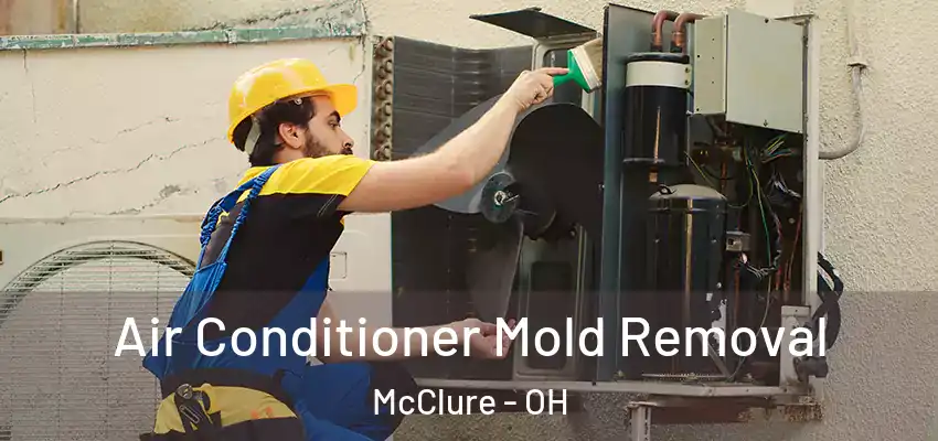  Air Conditioner Mold Removal McClure - OH