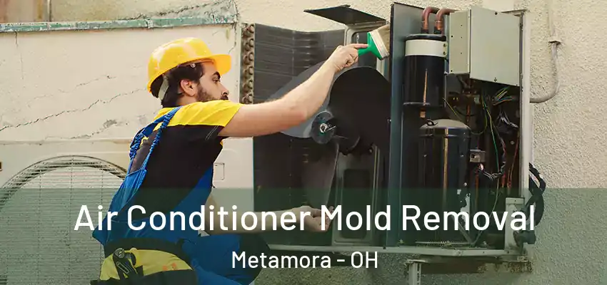  Air Conditioner Mold Removal Metamora - OH