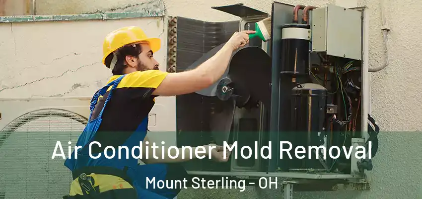 Air Conditioner Mold Removal Mount Sterling - OH