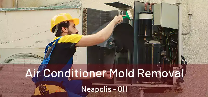  Air Conditioner Mold Removal Neapolis - OH
