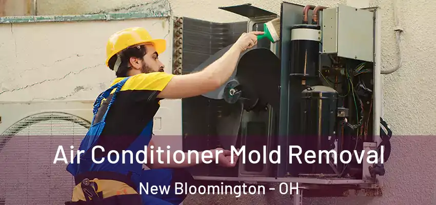  Air Conditioner Mold Removal New Bloomington - OH
