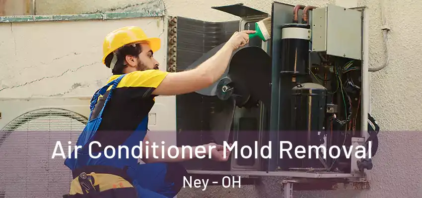  Air Conditioner Mold Removal Ney - OH
