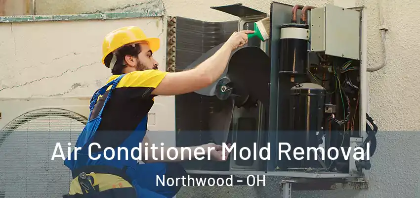 Air Conditioner Mold Removal Northwood - OH