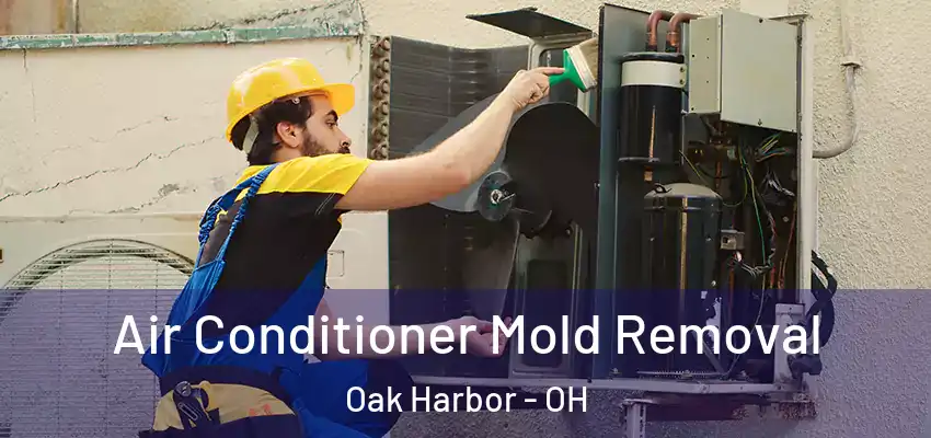  Air Conditioner Mold Removal Oak Harbor - OH
