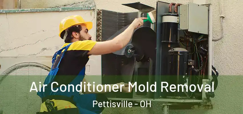  Air Conditioner Mold Removal Pettisville - OH