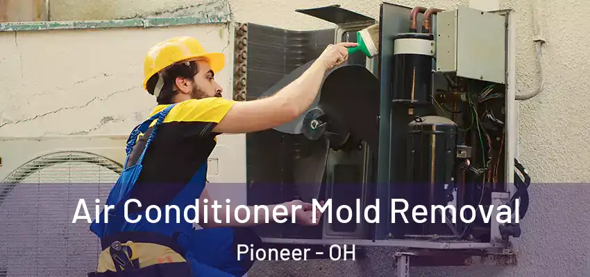  Air Conditioner Mold Removal Pioneer - OH