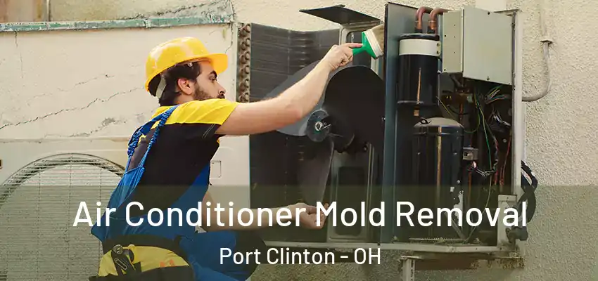 Air Conditioner Mold Removal Port Clinton - OH