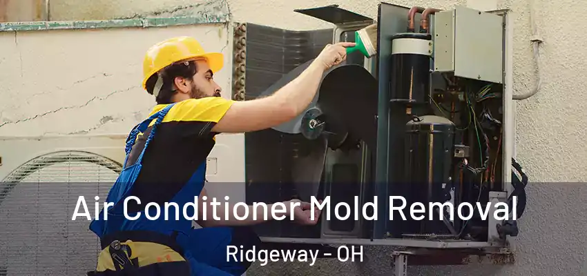 Air Conditioner Mold Removal Ridgeway - OH