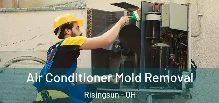  Air Conditioner Mold Removal Risingsun - OH
