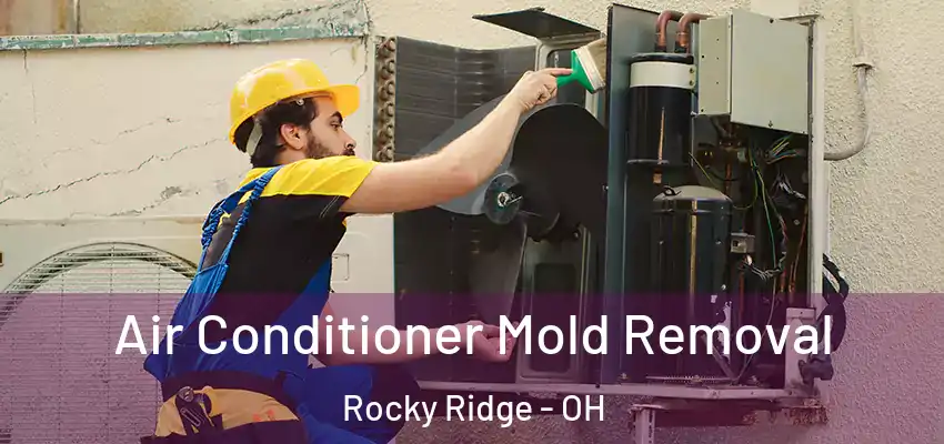 Air Conditioner Mold Removal Rocky Ridge - OH