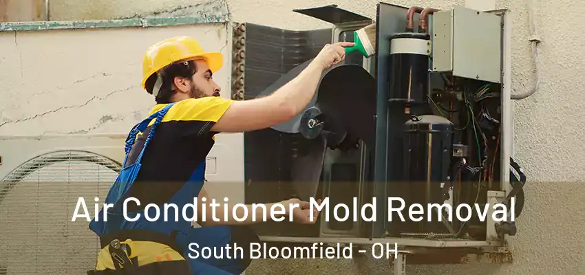 Air Conditioner Mold Removal South Bloomfield - OH