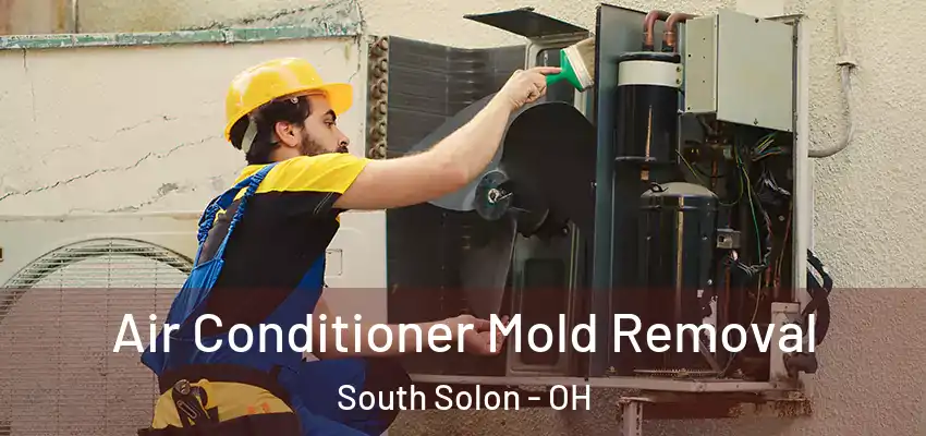  Air Conditioner Mold Removal South Solon - OH