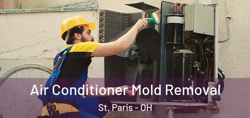  Air Conditioner Mold Removal St. Paris - OH