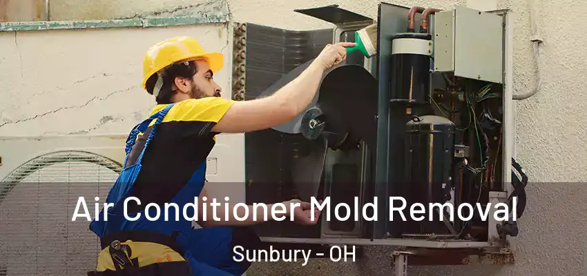 Air Conditioner Mold Removal Sunbury - OH