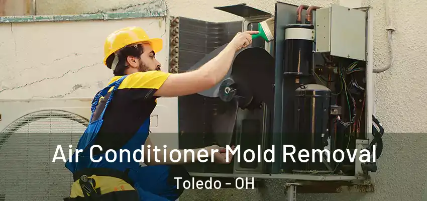  Air Conditioner Mold Removal Toledo - OH