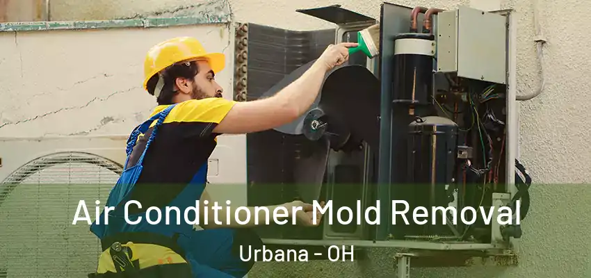 Air Conditioner Mold Removal Urbana - OH
