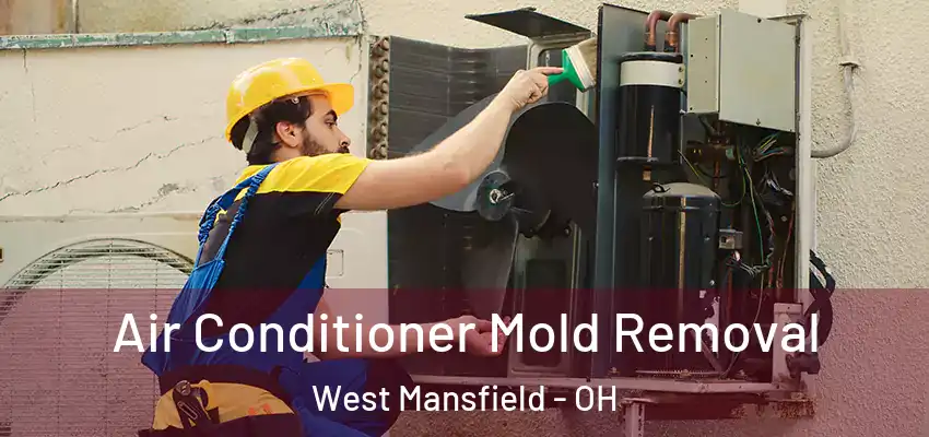  Air Conditioner Mold Removal West Mansfield - OH