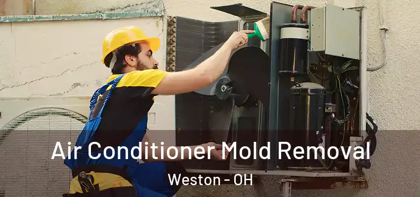 Air Conditioner Mold Removal Weston - OH