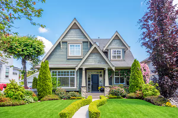 Black Mold Clean Up in Carey, OH