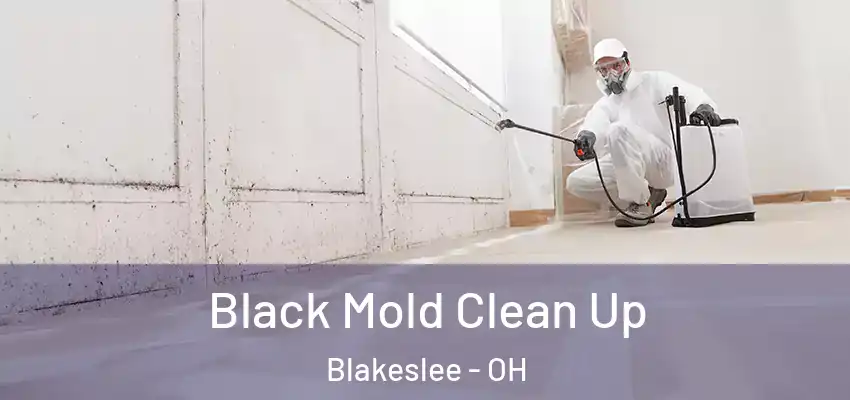  Black Mold Clean Up Blakeslee - OH