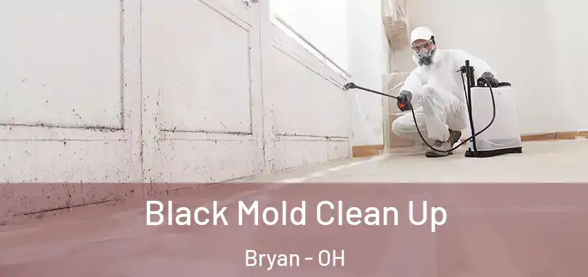  Black Mold Clean Up Bryan - OH