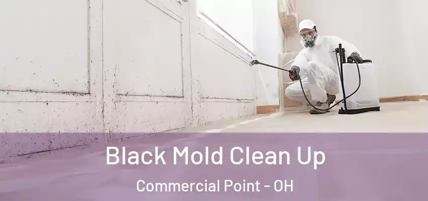  Black Mold Clean Up Commercial Point - OH