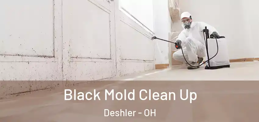  Black Mold Clean Up Deshler - OH