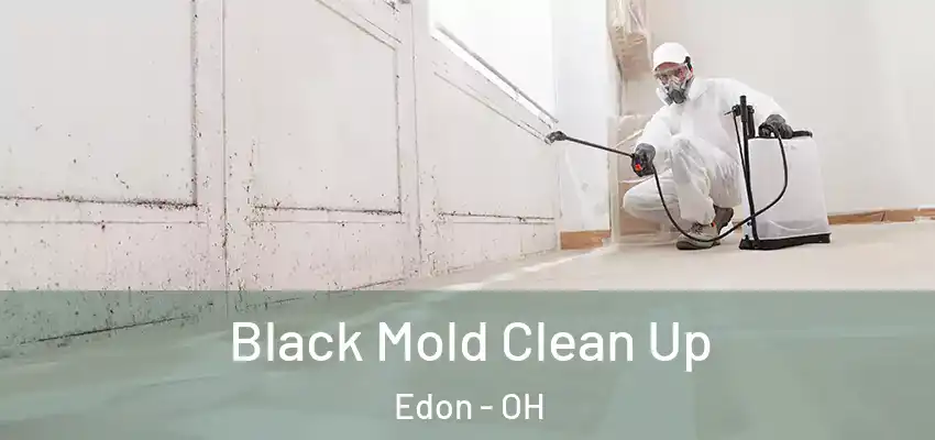  Black Mold Clean Up Edon - OH