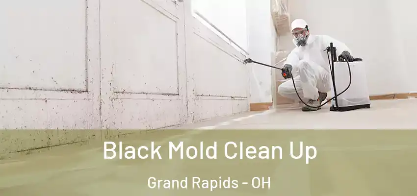  Black Mold Clean Up Grand Rapids - OH