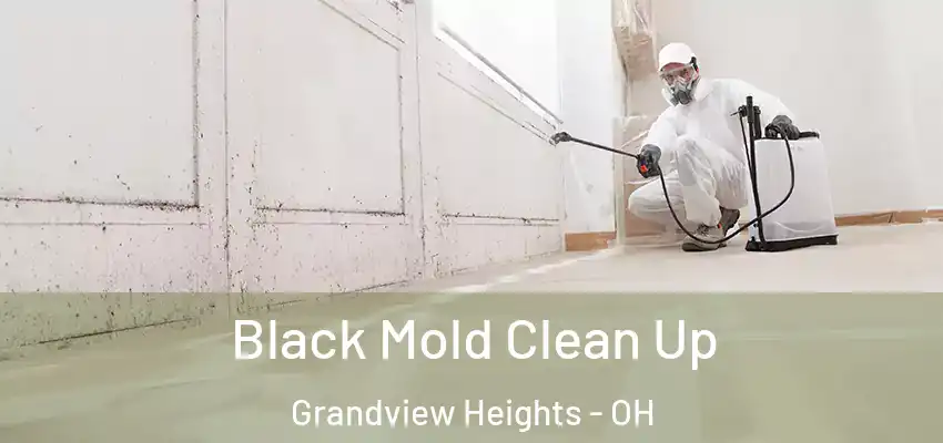  Black Mold Clean Up Grandview Heights - OH