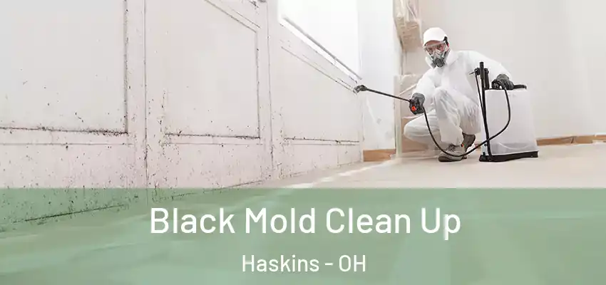  Black Mold Clean Up Haskins - OH