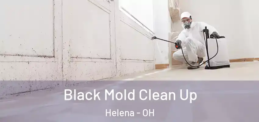  Black Mold Clean Up Helena - OH