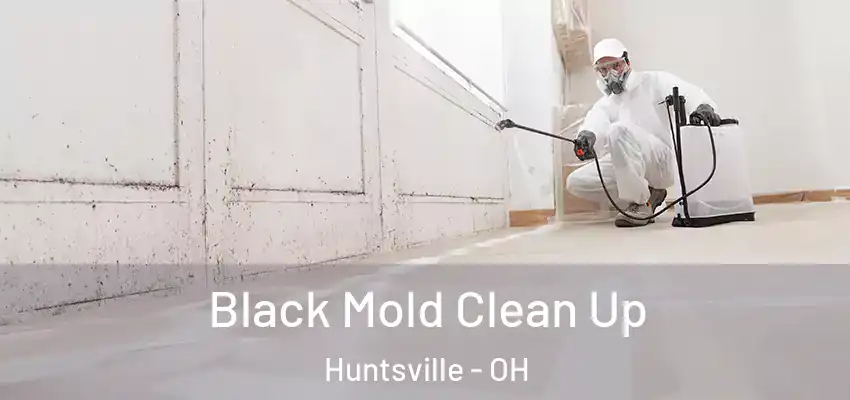  Black Mold Clean Up Huntsville - OH
