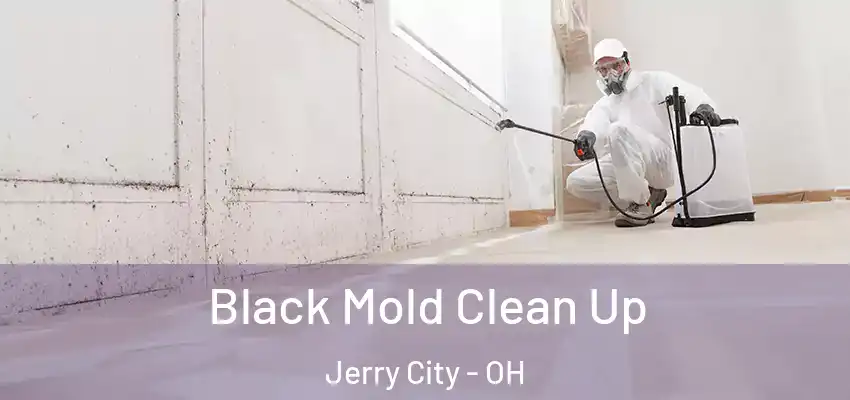 Black Mold Clean Up Jerry City - OH