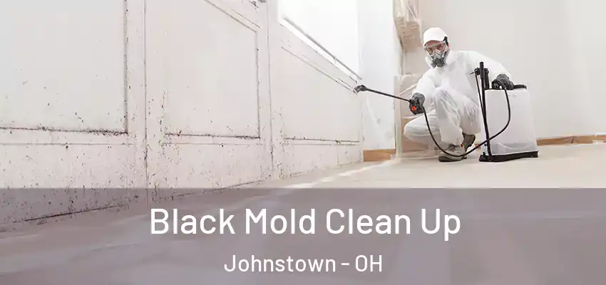  Black Mold Clean Up Johnstown - OH