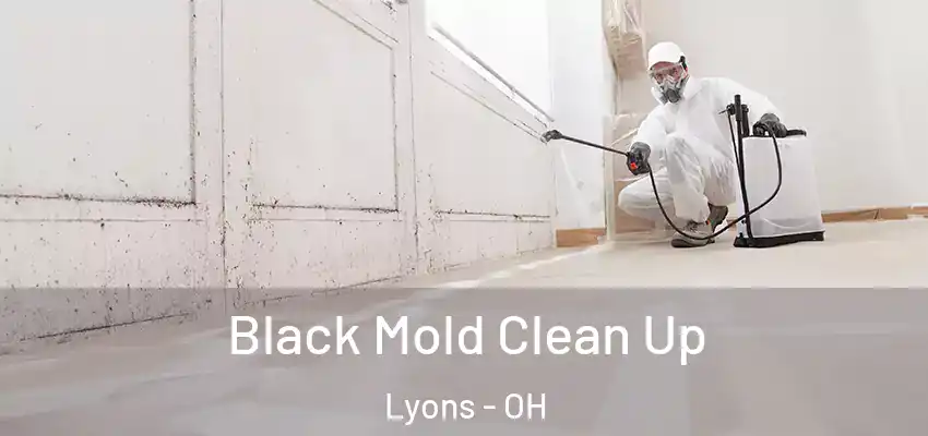 Black Mold Clean Up Lyons - OH