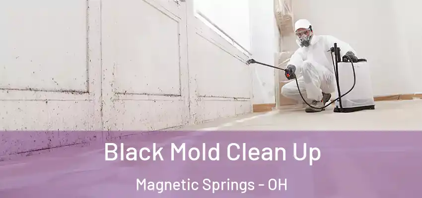  Black Mold Clean Up Magnetic Springs - OH