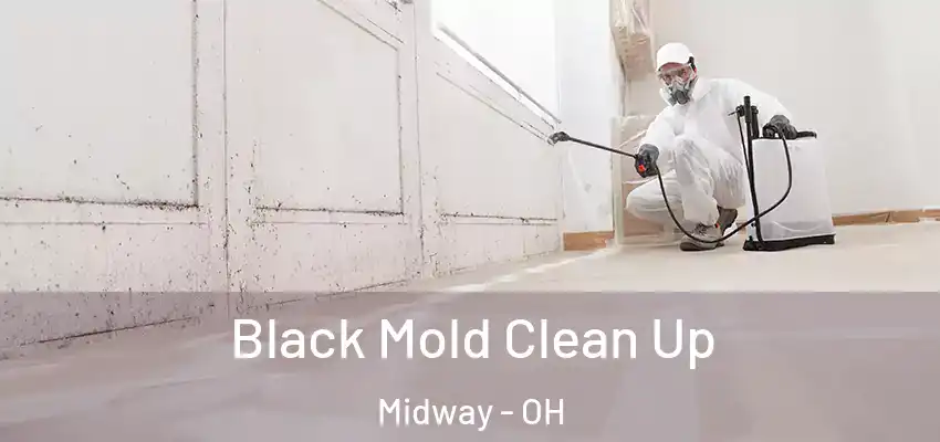 Black Mold Clean Up Midway - OH